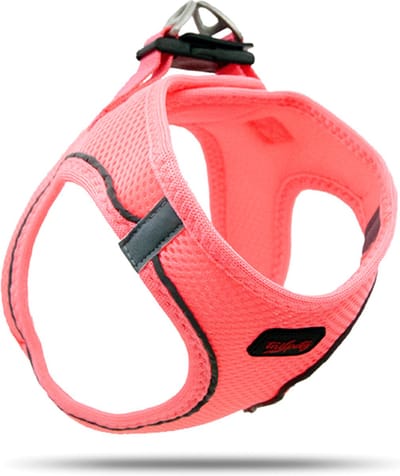 Tailpetz - Air-Mesh Harness - Hondenharnas - Hondentuig - Hondentuigje Kleine Hond - Y Tuig Hond - Harnas Hond - Anti Trek Tuig Hond - Reflecterend - Maat XS - Neon Pink