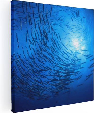 Artaza Canvas Schilderij Zee - 30x30 cm - Klein - Wanddecoratie Vissen - Muurdecoratie Onderwaterwereld - Kamer Accessoires