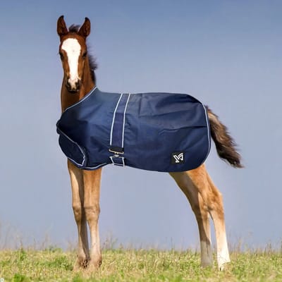 Outdoor paardendeken York Foal 100 g