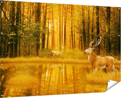 Gards Tuinposter Twee Herten in het Bos bij het Water - 180x120 cm - Tuindoek - Tuindecoratie - Wanddecoratie buiten - Tuinschilderij