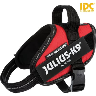 Julius-K9 IDC Powertuig - Hondentuig - XS - Mini-Mini - Rood
