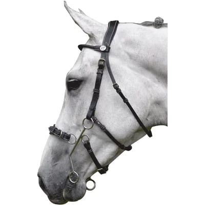 Engels gecombineerd hoofdstel met anatomische neusriem Jump'In Hackamore