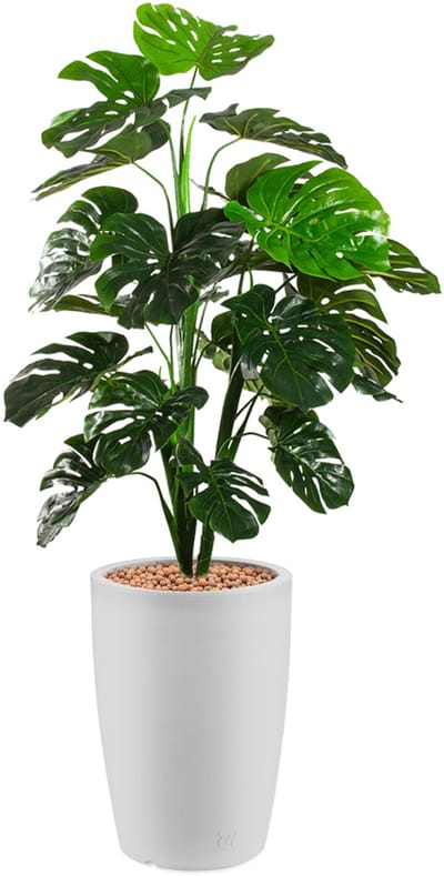 Kunstplant Monstera in Genesis rond H150 cm