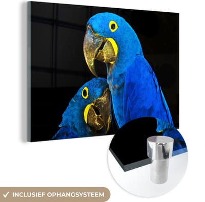 MuchoWow® Glasschilderij 120x80 cm - Schilderij acrylglas - Papegaai - Vogel - Veren - Blauw - Foto op glas - Schilderijen