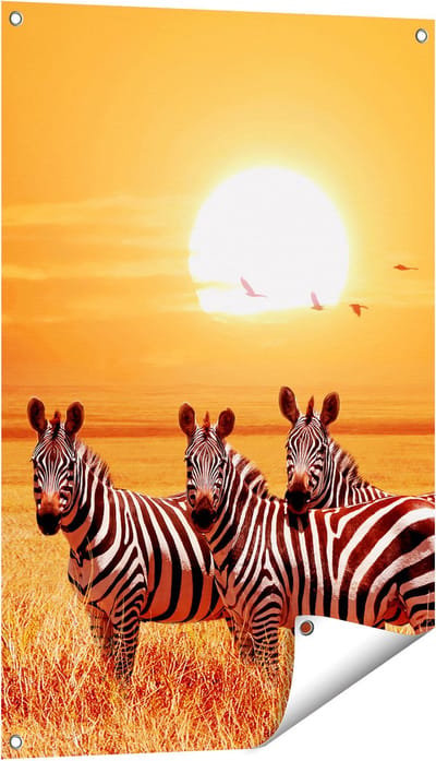 Gards Tuinposter Drie Zebra's bij Zonsondergang - 60x90 cm - Tuindoek - Tuindecoratie - Wanddecoratie buiten - Tuinschilderij