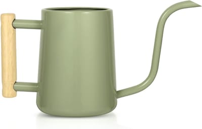 Gieter kamerplanten, 35 oz/1000 ml, metalen roestvrijstalen gieter, pot met lange uitloop voor kamerplanten, bonsai, tuin, bloem, decoratief, saliegroen