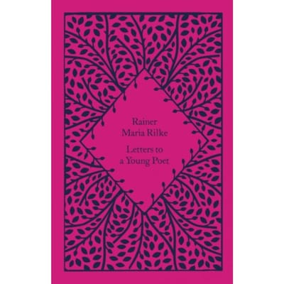 Brieven aan een jonge dichter door Rainer Maria Rilke Hardcover Boek 9780241620038