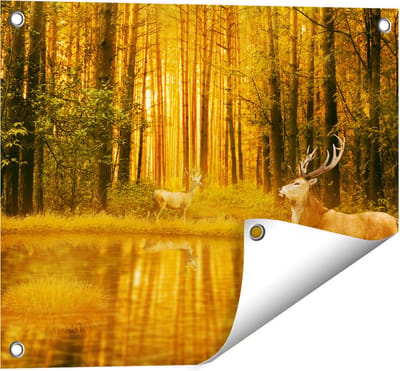 Gards Tuinposter Twee Herten in het Bos bij het Water - 50x40 cm - Tuindoek - Tuindecoratie - Wanddecoratie buiten - Tuinschilderij