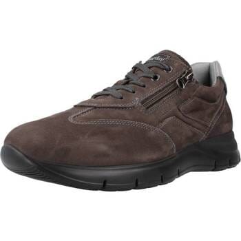 Sneakers NeroGiardini I202501u