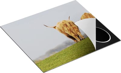 Chefcare Inductie Beschermer Twee Schotse Hooglanders Koeien Lopen Weg - 60x50 cm - Afdekplaat Inductie - Kookplaat Beschermer - Inductie Mat