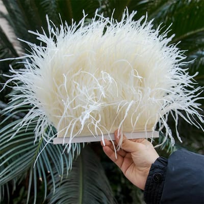 Plume1/5/10Mètres Garnitures de Plumes d'Autruche Moelleuses 8-10CM Ruban Naturel de Plumes d'Autruche pour Fête Mariage Décoration Vêtements Artisanat 1M beige