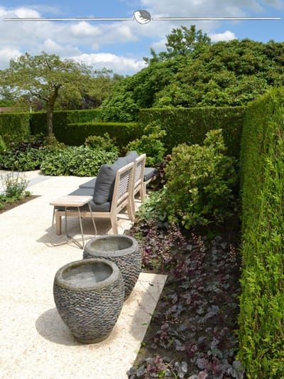Westerse Levensboom Thuja Brabant 140-160 cm in Pot, 7x Haagplant