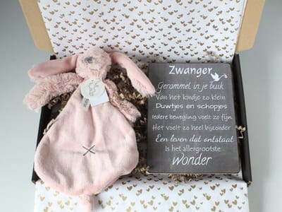 Brievenbus cadeau Rabbit Richie Old Pink - cadeau zwangerschap - babycadeau - cadeau meisje - babyshower - kraamkado