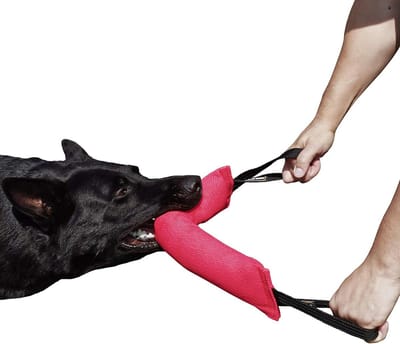 Bijtworst Hond - Trainingsspeelgoed - Hondentraining Spel - Handgemaakt Kwaliteit - 45 x 8 cm - Roze