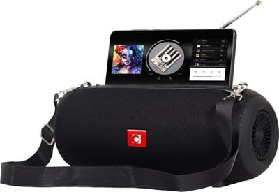 Gembird Draagbare Draadloze Speaker - FM Radio - Tot 7 uur - Bluetooth, AUX, SD kaart en USB - Zwart