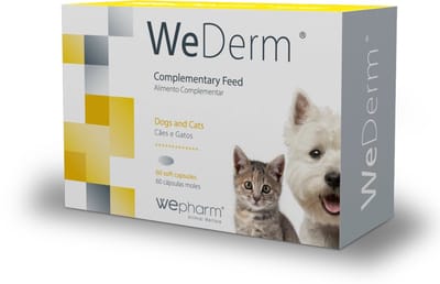 WePharm WeDerm - 60 Capsules - Huid en Vachtondersteuning Voor Honden en Katten - Natuurlijk Supplement