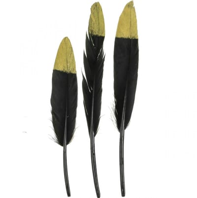 Decoratieve veren zwart, goud echte veren voor knutselen 12-14cm 72 st