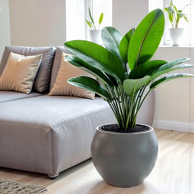Bolvormige - ronde bloempot - rond 38cm - antraciet met zelfbewatering - 70% gerecycleerd