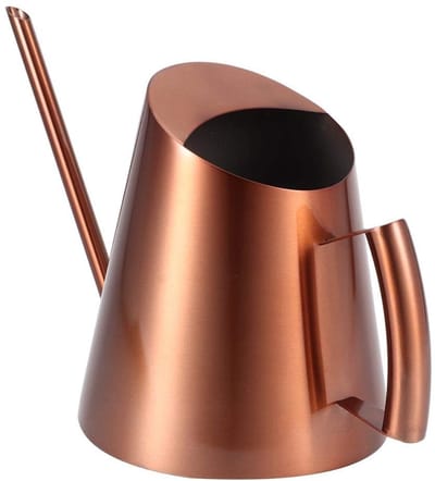 Dailygoods- Gieter 1 Liter - Roestvrij Staal - Ergonomische Handgreep - Lang Mondstuk - Duurzaam - Modern Design - Plantenbewateringssysteem