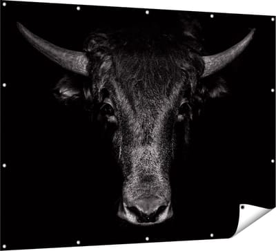 Gards Tuinposter Stierenkop - Stier - Zwart Wit - 160x120 cm - Tuindoek - Tuindecoratie - Wanddecoratie buiten - Tuinschilderij