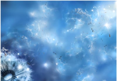 Fotobehangkoning - Behang - Vliesbehang - Fotobehang Magische Paardenbloem - Magic of Nature - 400 x 280 cm