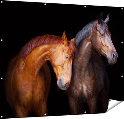 Gards Tuinposter Twee Bruine Paarden Koppel - Liefde - 150x120 cm - Tuindoek - Tuindecoratie - Wanddecoratie buiten - Tuinschilderij