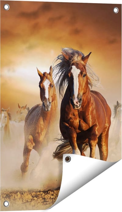 Gards Tuinposter Wilde Paarden in het Zand - 40x60 cm - Tuindoek - Tuindecoratie - Wanddecoratie buiten - Tuinschilderij