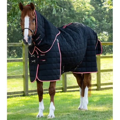 Paardenstaldeken met halsbedekking Premier Equine 450 g