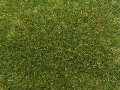 Strooimateriaal Gras - Modelbouw Gras - Landschap Creëren - Realistische Kwaliteit - 50 gram - Middelgroen