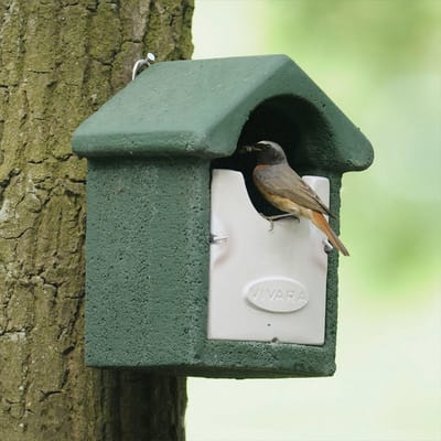 CJ Wildlife Nestkast - Aanbevolen door de Vogelbescherming Nederland - Barcelona - Nestkastje voor o.a. Roodborstjes & Winterkoninkjes - Woodstone Vogelhuisje - FSC-gecertificeerd - Groen