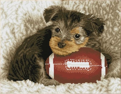DQK8.017 Diamond Dotz® - Hobby Pakket - Diamond painting volwassenen - Diamond painting met lijst - Pup met rugby bal 32 x 41cm - Vierkante steentjes - Diamond painting pakket volledig