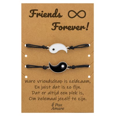 Vriendschapsarmbandjes voor 2 " Friends Forever ∞" - Yin Yang - BFF Armbandjes met Persoonlijk Cadeau Kaartje - Zilverkleurig - Elastisch Verstelbaar - Pax Amare