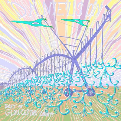 Danielson - Best Of Gloucester County (LP)