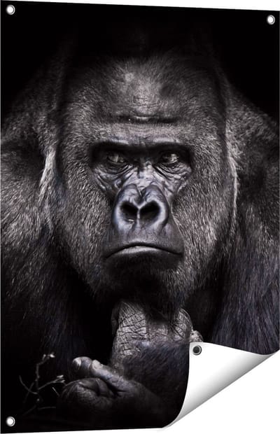 Gards Tuinposter Gorilla - Zwart Wit - 60x80 cm - Tuindoek - Tuindecoratie - Wanddecoratie buiten - Tuinschilderij