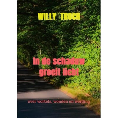 In De Schaduw Groeit Licht - Willy Troch