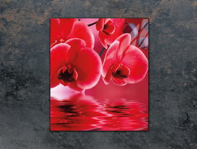 TMK ArtDeko Serie - Snijplank van gehard glas - 45x52 cm - Orchidea - Anti-slip en Antibacterieel