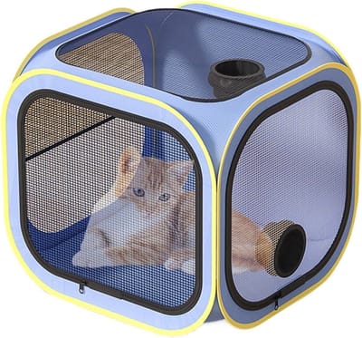 Katten Droogbox - Kattenföhn Automatisch - Huisdier Verzorging - Omsloten Ontwerp - 50x50x50 cm - Blauw