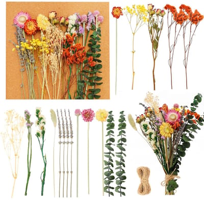 Cosensi - Dailygoody - Natuurlijke gedroogde bloemen - Decoratieve droogbloemen - Veelzijdig en kleurrijk - 30 stuks - Knutselen en DIY - Perfect voor vaasdecor...