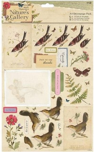 Docrafts: Nature's Gallery A4 Decoupage Pack - Collage (PMA 169121)