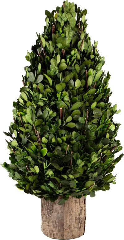 Dekoratief | PlantenKegel vorm op voet, groen/naturel, PVC, 25x25x52cm | A240966