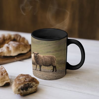 Magische Mok - Foto op Warmte Mokken - Koffiemok - Schapen - Bruin - Wit - Grindpad - Magic Mok - Beker - 350 ML - Theemok
