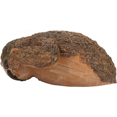 Luiaard Sculptuur Handgeschilderde Afwerking Hars Levendig 22x10x14.5cm Buiten Luiaard Beeldje voor Decoratie brown