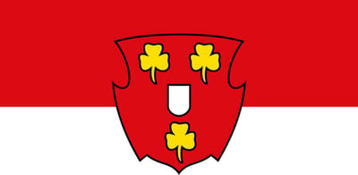 Vlag Kleef 100x150cm