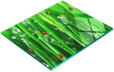 Decoratieve glazen keukensnijplank met lieveheersbeestje en grasmotief, 60x52 cm
