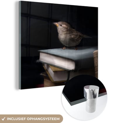 MuchoWow® Glasschilderij 50x50 cm - Schilderij acrylglas - Vogel - Boeken - Portret - Foto op glas - Schilderijen