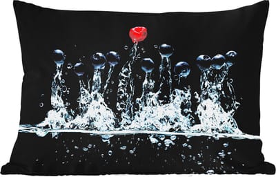 Buitenkussens - Tuin - Bessen - Water - Zwart - Fruit - Framboos - 50x30 cm