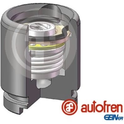 Zuiger, remklauw AUTOFREN SEINSA D025258K, achter