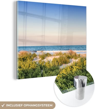 MuchoWow® Glasschilderij 50x50 cm - Schilderij acrylglas - Strand - Planten - Licht - Foto op glas - Muurdecoratie woonkamer - Wanddecoratie slaapkamer - Schilderijen
