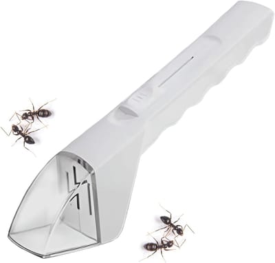 Kleine Insectenvanger voor Kinderen, Eenvoudige Insectenval voor Spinnen en Vlinders, Ideaal voor Thuis en Tuin, Veilig en Gebruiksvriendelijk