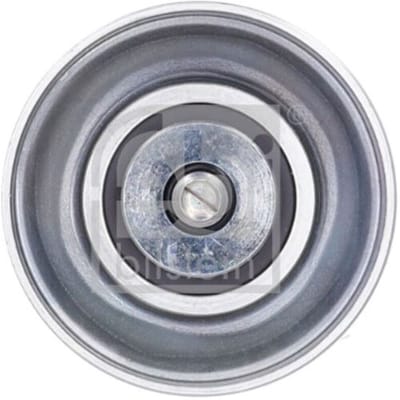 Rondsel/geleiderpoelie, V-ribbelriem FEBI BILSTEIN 196859